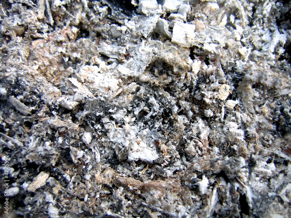 Wood ash